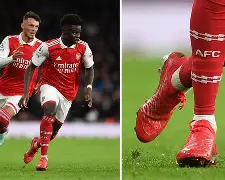 皇家社会最新消息